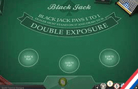 Double Exposure Blackjack