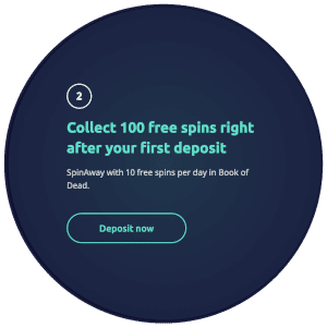 100 free spins na je eerste storting