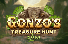 Gonzo's treasure hunt