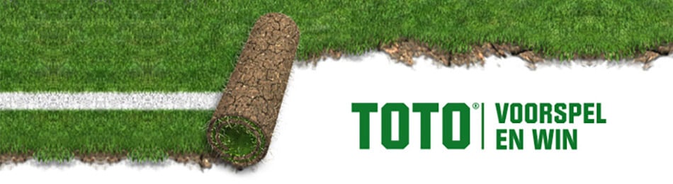 Toto review